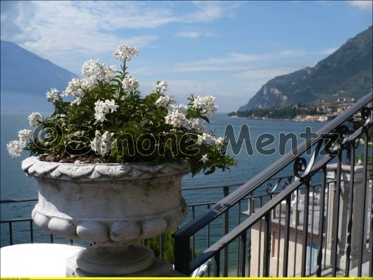 Images/Toskana - bei Limone.jpg
